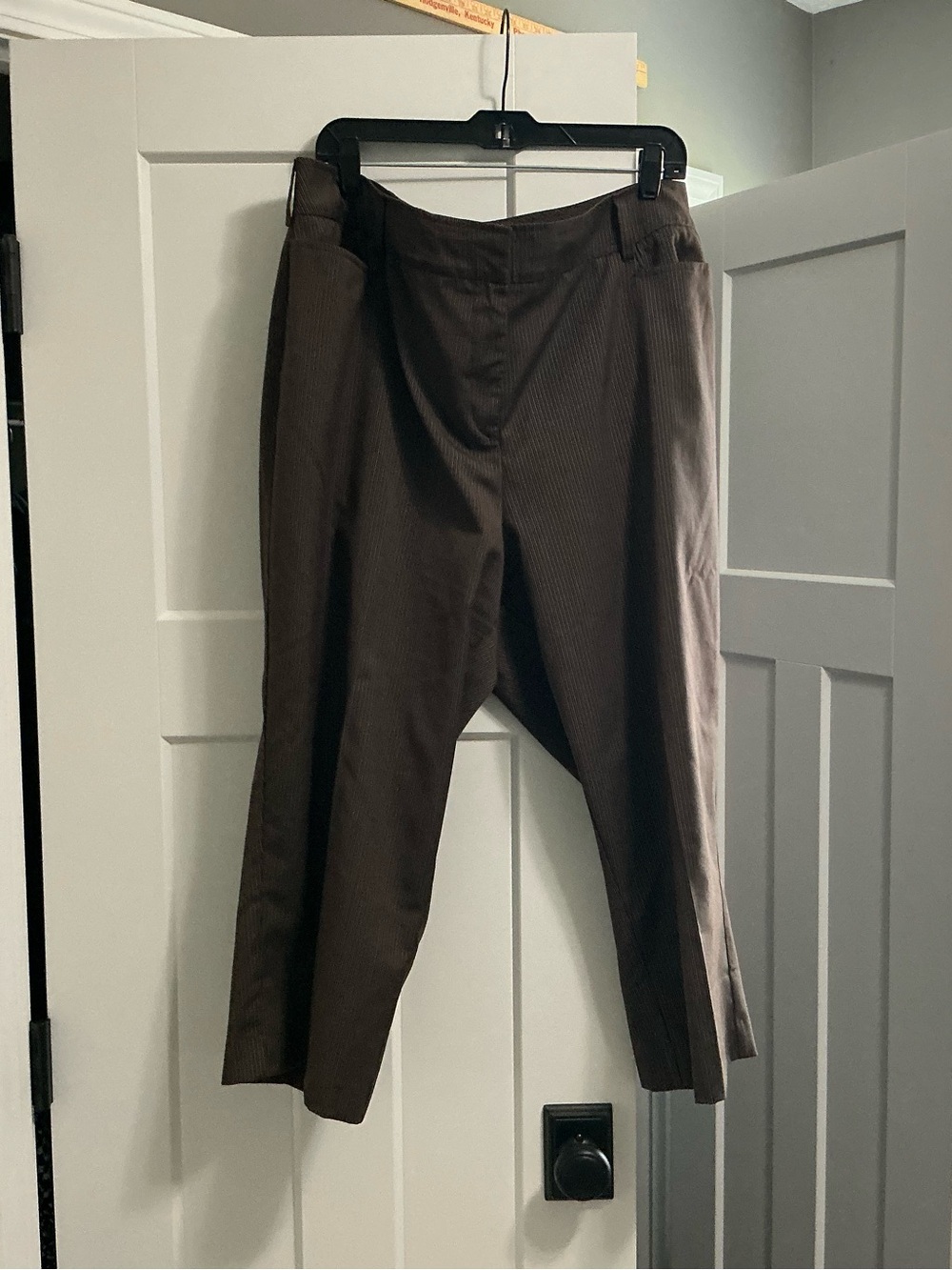 Lane Bryant Dark Brown Men's Dress Trousers